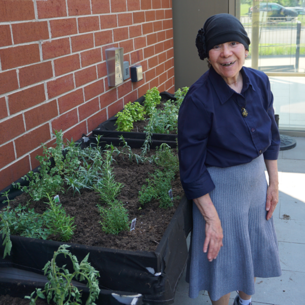 Gardening 24