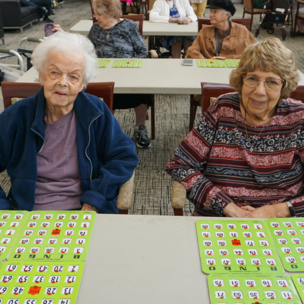 Bingo 5