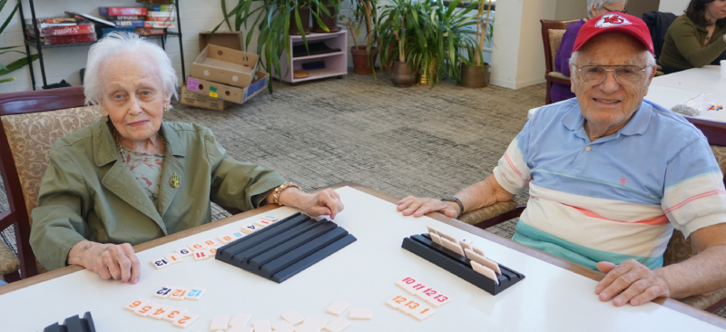 Two elderly people playing a game at a table.